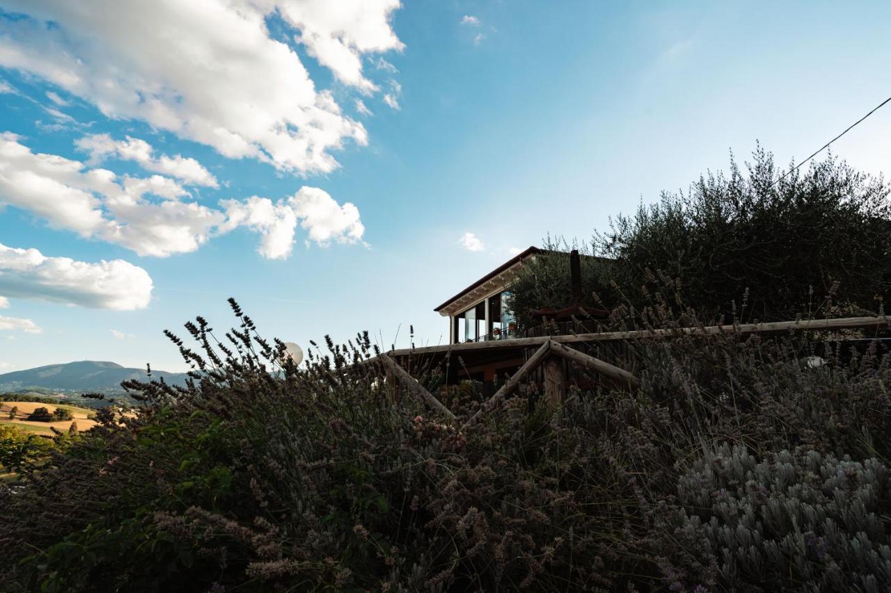 Il Pozzo Country House Collescipoli Zewnętrze zdjęcie