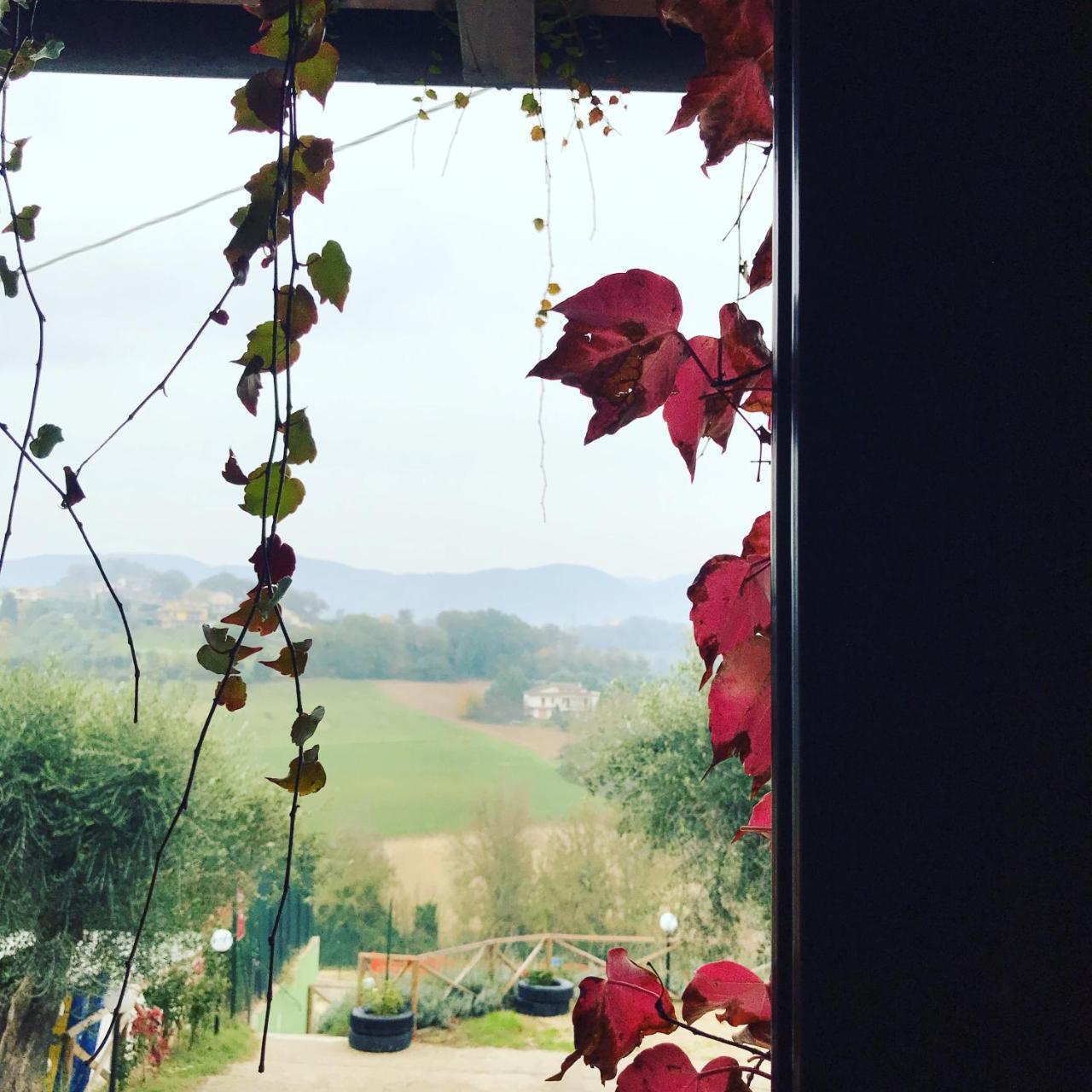 Il Pozzo Country House Collescipoli Zewnętrze zdjęcie